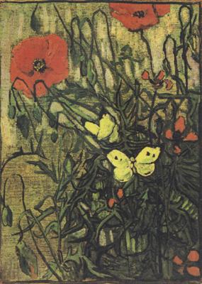 Vincent Van Gogh Poppies and Butterflies (nn04) Norge oil painting art
